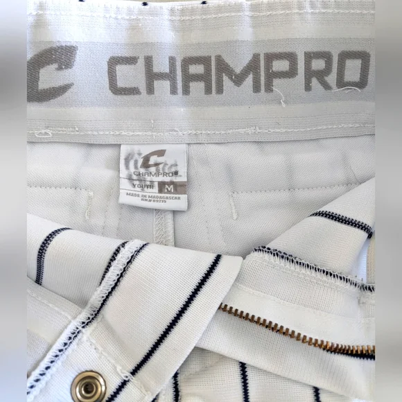 CHAMPRO Youth Striped Baseball Pants - Picture 6 of 11